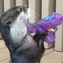 RobbingOtter