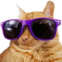 CoolCat CoolCat