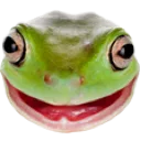 TE_OSFrog TE_OSFrog