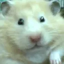 RatConcerned RatConcerned