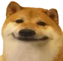 DogeSmile