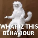 S_sbg_wht_is_this_behaviour