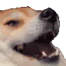 doggokek