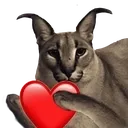 FloppaLove