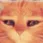 pwease