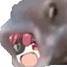 pogMarineFish