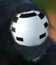 ape