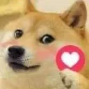 doge_superka Discord Emoji