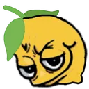 921738831630331934