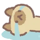 AR_TimmyCry2