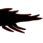 krilltail
