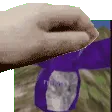 PigPatPat