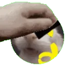 PinkDudePatPat