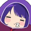 RaidenSleeping