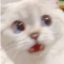 shocked