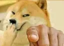 LeiLaughPoint