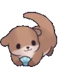 OtterSip3
