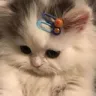 sadbilli