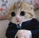 seriousbusiness