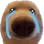 cry cry