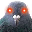 pigeon