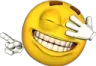 LBOZOmock