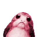 pearlporg pearlporg