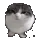 wawabounce