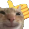 catthumb