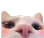 averr Discord emoji