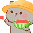 aw_wateemelon