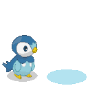 piplup