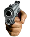 Gun