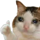 catthumbsup