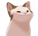 popcat popcat