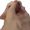 scream