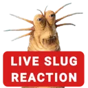 klaud
