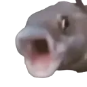 OOOO