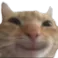 ly_cathappys