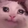gaspcrycatIamsad