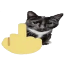 fuckyounelles
