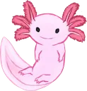 Axolotl Axolotl