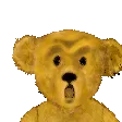 OMGBEAR