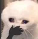 cry_ehh