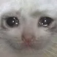 chexseBigsad Discord Emoji