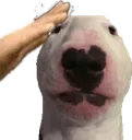 :waltersalute: :waltersalute: