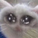 sad