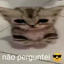 :naopergunteialeatrio: naopergunteialeatrio