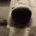 SNIFFA
