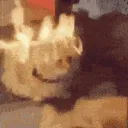 CatOnFire